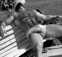 oakcheese: hairymacho:  http:/hairymacho.tumblr.com