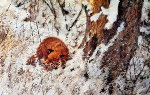 wanderingredleaves:Rien Poortvliet, Foxes in their habitat.