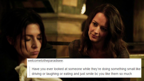 Root x Shaw