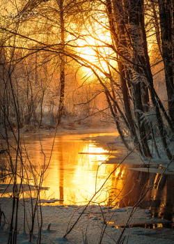 coiour-my-world:Forest Creek ~ Lauri Lohi