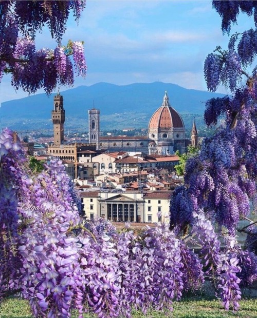 rime-s: Florence,Italy