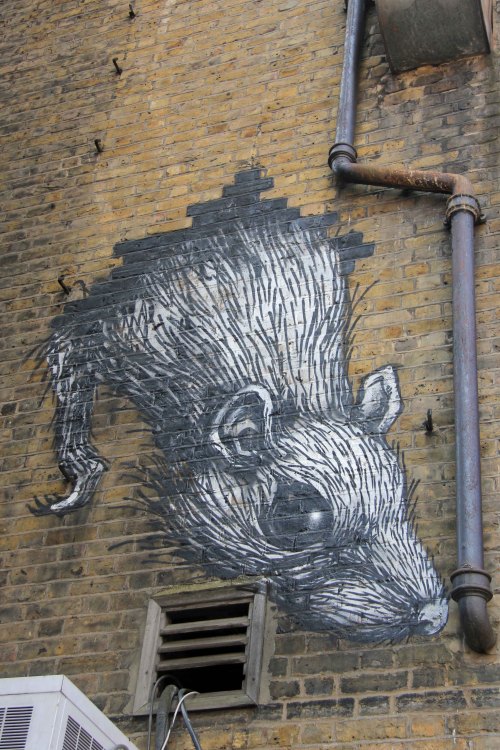 fer1972:  ROA (Artist on tumblr)