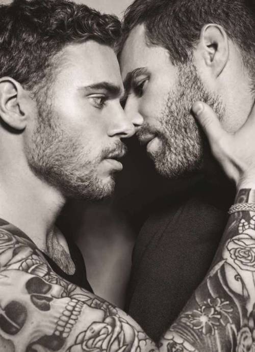 Gay Love