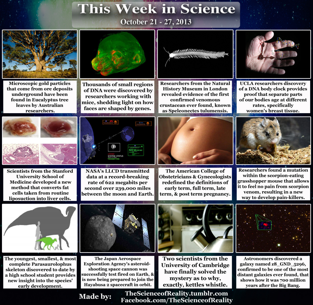 shitfacedanon:  thescienceofreality:  I’ve been swamped getting ready for nanowrimo,