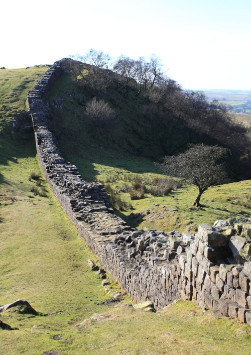 geologicaltravels:2013: Hadrian’s Wall sitting atop Carboniferous dolerites of the Whin Sill t