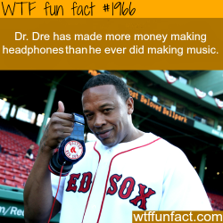 wtf-fun-factss:  Dr. Dre net worth - WTF