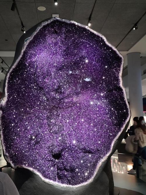 blondebrainpower:Amethyst geode at the American Museum of Natural History. 12 feet (3.66 m) tall.