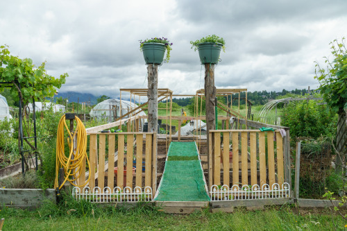 A small garden in early summer.www.jimroche.ca