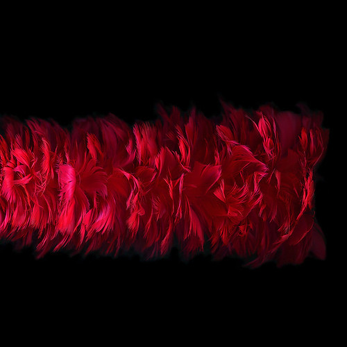 RED FEATHER DUSTER… by magda indigo flic.kr/p/2miR3y4