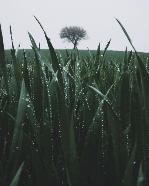 crossconnectmag: Photography by Sandra LinnellSandra Linnell is a self-taught photographer, based in