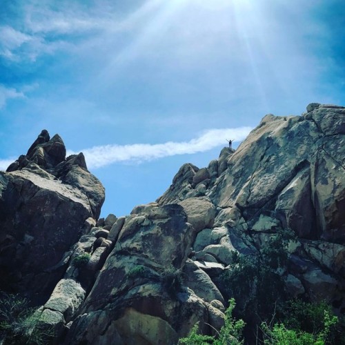 Indian Cove mountain goat (at Joshua Tree National Park)