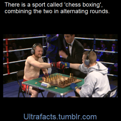 ultrafacts:      Chess boxing is a hybrid