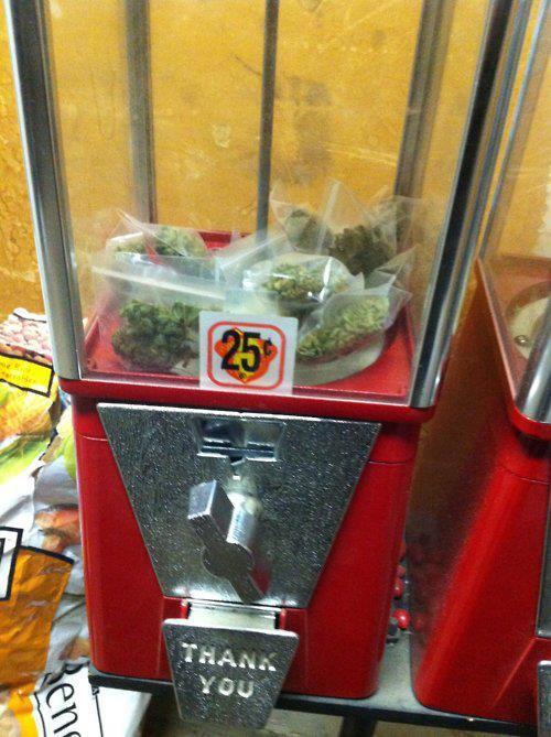 filthy-hippie-vibes:  thetoxxicchronic:  I wish.    No no, thank YOU.