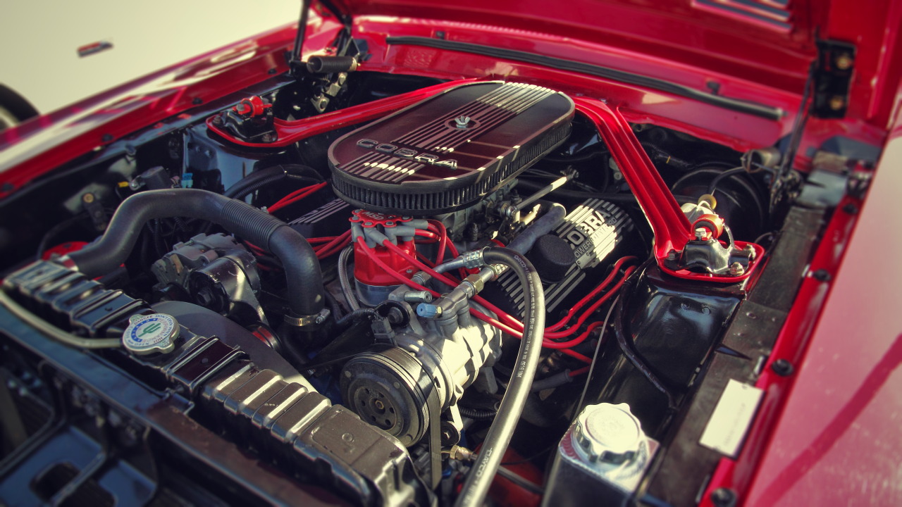 yessir-youarefat:  Shelby GT500 widebody Carroll Shelby Cruisein, Petersen Automotive