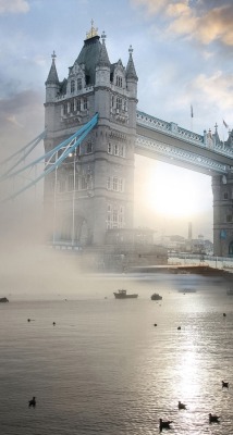 beautifuldreamtrips:  Bridge in London by sandervm ▶️▶️ http://ift.tt/1CjUiud Follow us for more!  ▶️▶️ http://ift.tt/1B4bTry 