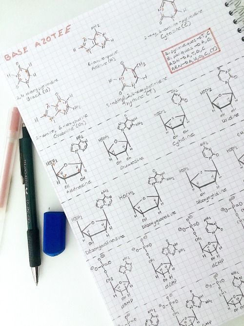 study-van