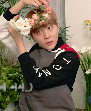 Flower Boy~