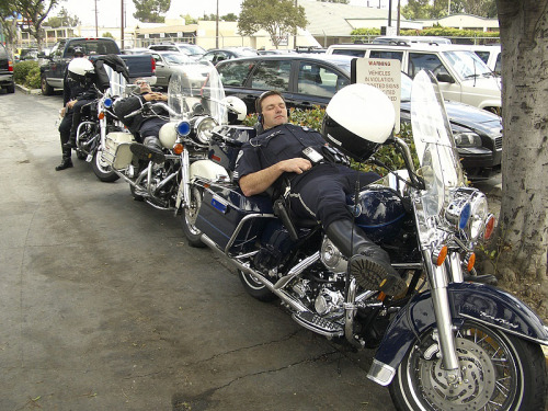 PoliceCorps