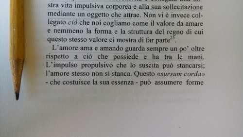 frugiperda:Scheler, Ordo amoris