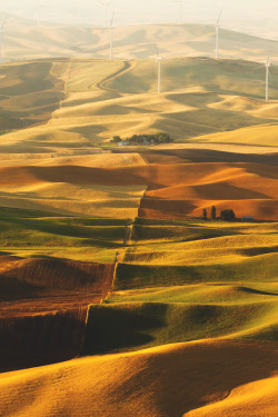 wnderlst:Palouse Hills, Washington | Arindam Sen