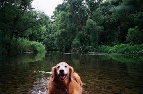 zigpitz: west chester. by sean haughton on Flickr.