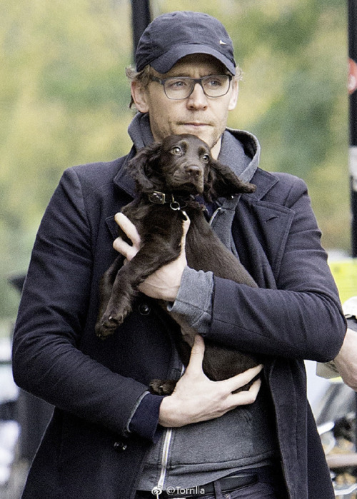 Tom with a puppy while out on a walk in London on November 9, 2017