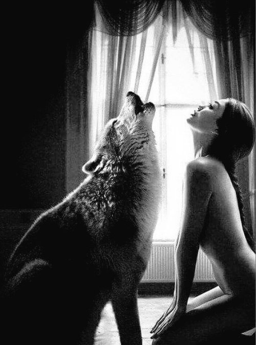 She was a wild one.  The Big Bad Wolfe liked that.They howled their freedom together.
