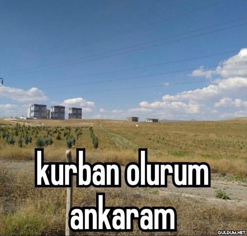 kurban olurum ankaram   Kaynak