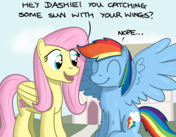 hoofclid:I believe Dashie to be a big softie,