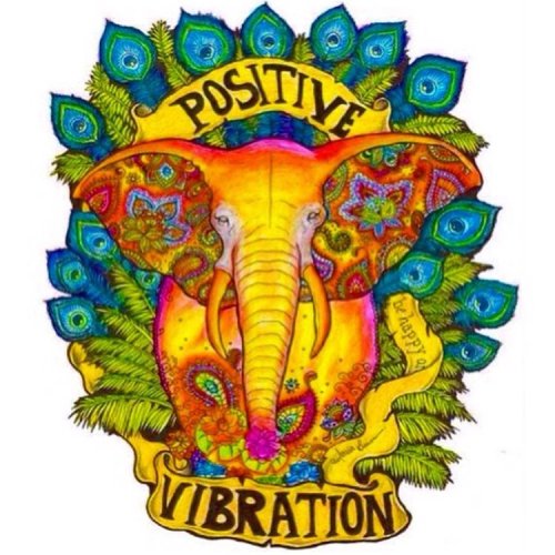 ohmboho:  Positive Vibrations to you all on this Full Moon night ✌🏼️ ॐ www.ohmboho.com ॐ #ohmboho #positive #positivevibes #elephant #art #boho #bohemia #bohemian #hippy #hippie #hippiestyle #hippiespirits
