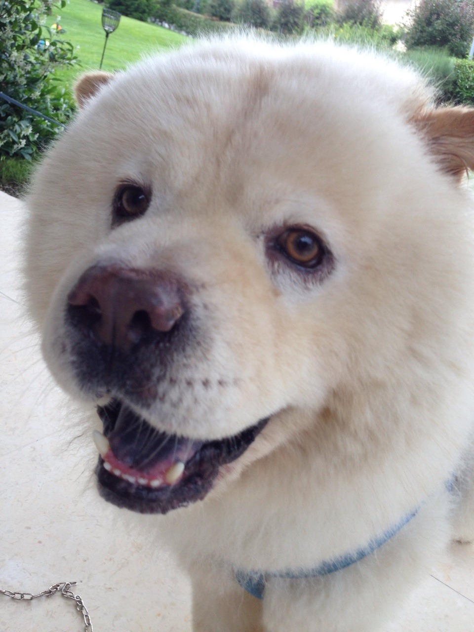babelady:  look at this giant teddy bear