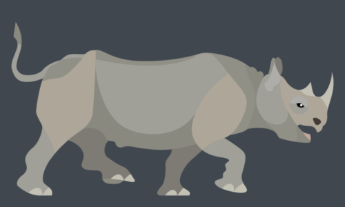 Diceros bicornis - Black Rhinoceros