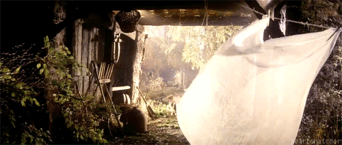 heidruna:  megarah-moon:  “Neither country proverb nor king’s command could keep me from the woods t