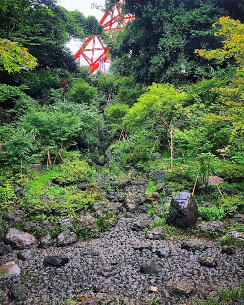 芝公園 もみじ谷庭園 [ 東京都港区 ] Shiba Park Momijidani Garden, Minato-ku, Tokyo の写真・記事を更新しました。 ーー東京の新 #紅葉の名所 へ。“