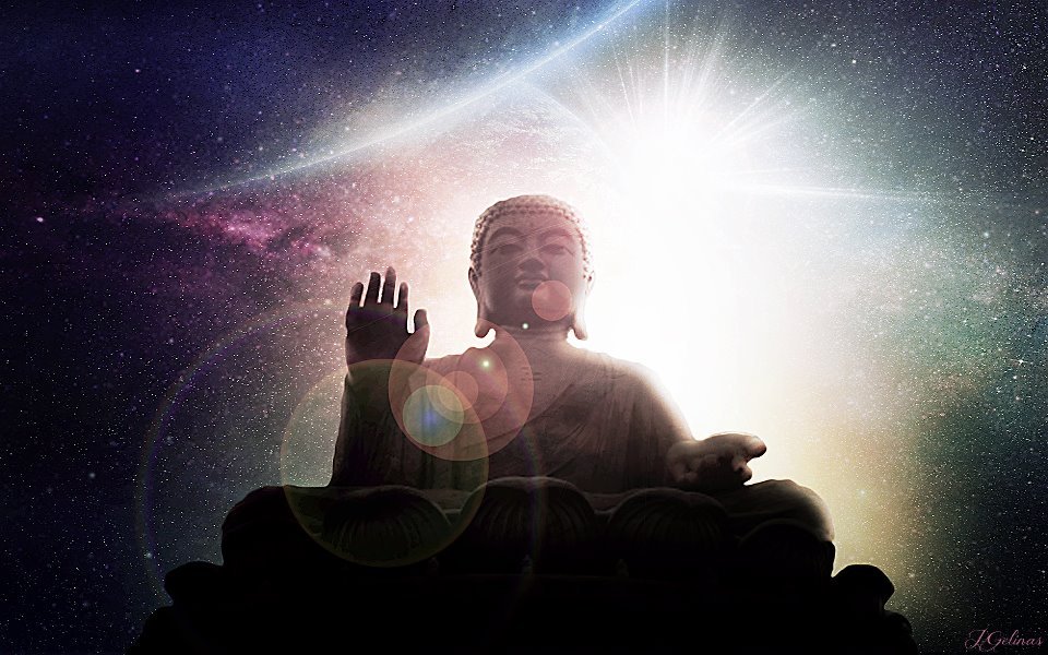 spiritualevolution1111:  “He who experiences the unity of life sees his own Self