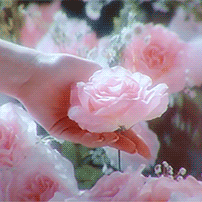 Slashers Giving Their S/o Flowers~