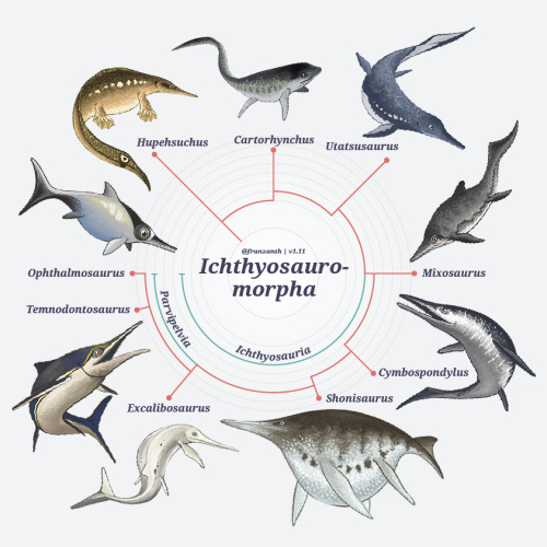 franzanth:  franzanth:  Diapsida: The Cladogram Version 1.11 · 20 March 2016 Attention: This post wi