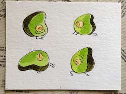 martaprior:  Avocados doing yoga. 