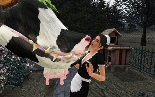 Today Is Apparently A Very Lucky Day For Her, Because The Cow Plant Spit Her Out. I Was Looking Forward