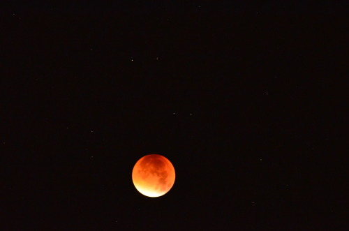 morganathewitch:Own.Just a few random pictures from tonight’s moon shoot.