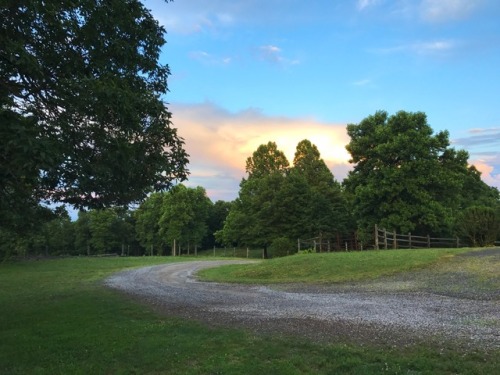 Bent Mountain Near Sunset, Floyd County, ole Virginny, 2017.