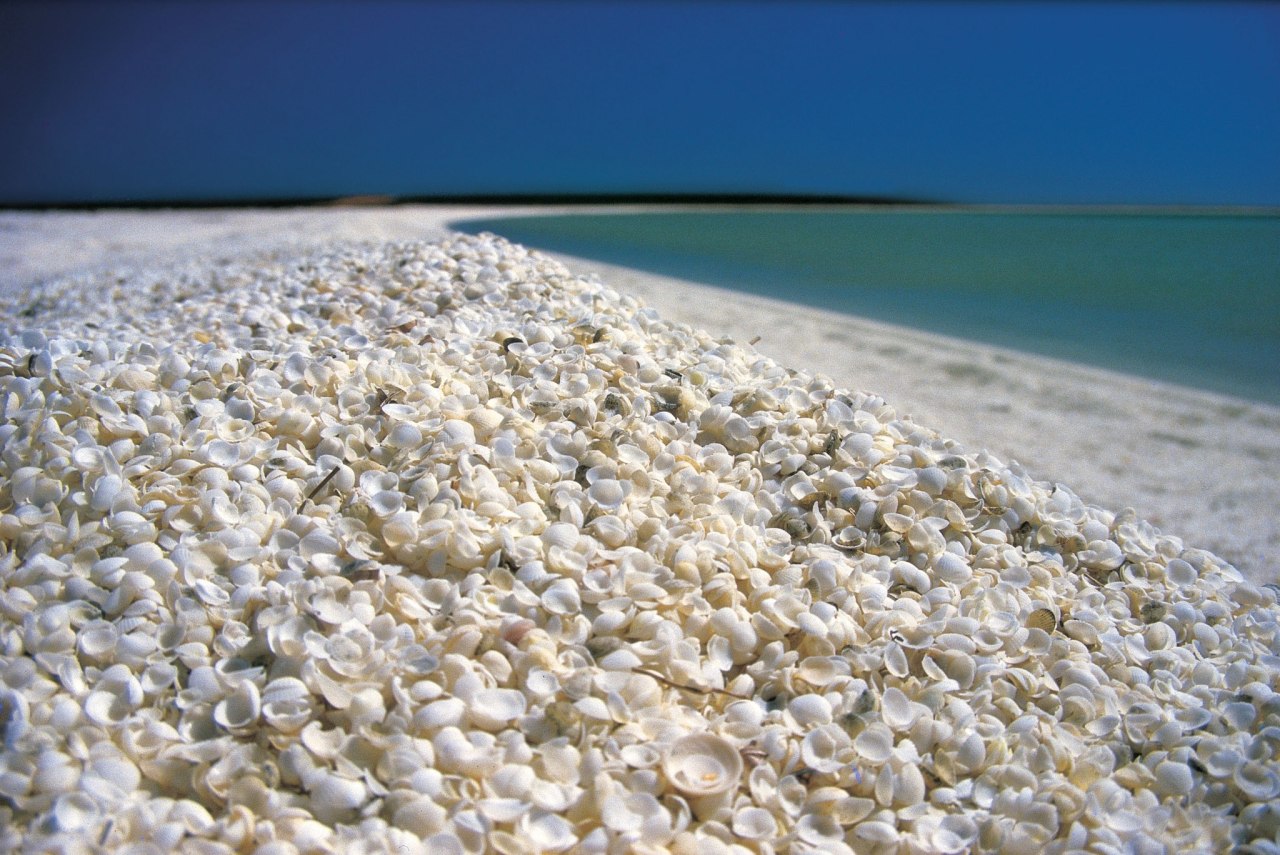 She sells sea shells (Shell Beach in the Shark Bay region of Western Australia is