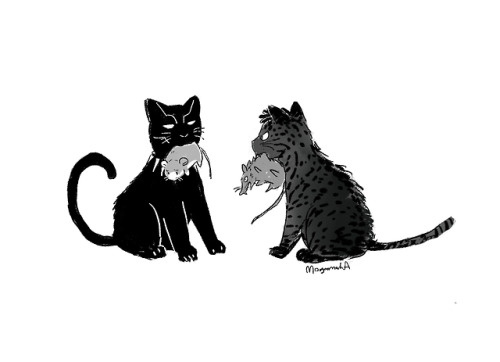 mogamoka:I’ve seen Black Panther. Love it!