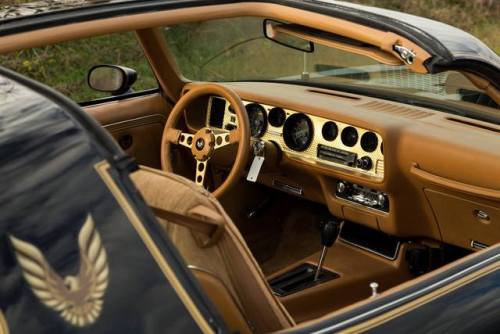 XXX bigboppa01:1979 Pontiac Firebird Trans Am, photo