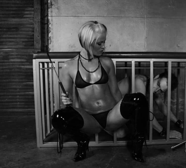 domina-et-servus:  Of all the animals, the boy is the most unmanageable.  ~Plato