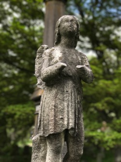 sleepyhollowcemetery: Angel has seen better