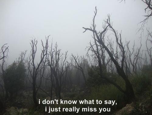 … | via Facebook on We Heart It. http://weheartit.com/entry/75661856/via/___BELIEBER___