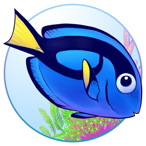 Tangs, also known as surgeonfish because of the sharp scalpel they wield near the end of their tail,