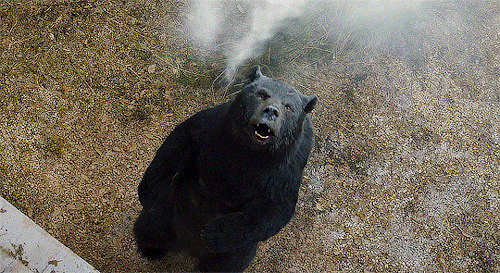 Cocaine Bear (2023) Dir. Elizabeth Banks 