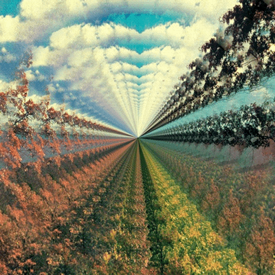 lulu-wrediga:  Its either the ending point or the starting one, differs by trips..